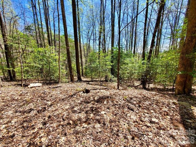 Lot 9 Hemlock Falls Drive 9, Sylva, NC 28779