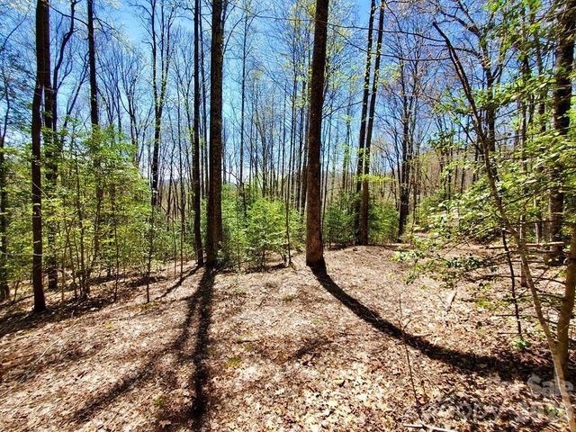 Lot 9 Hemlock Falls Drive 9, Sylva, NC 28779
