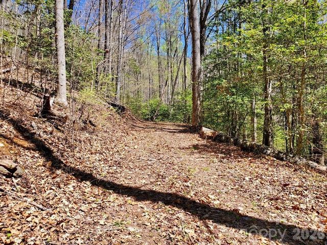 Lot 9 Hemlock Falls Drive 9, Sylva, NC 28779