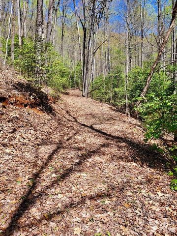 Lot 9 Hemlock Falls Drive 9, Sylva, NC 28779