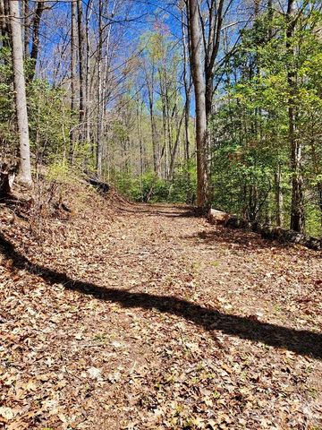 Lot 9 Hemlock Falls Drive 9, Sylva, NC 28779