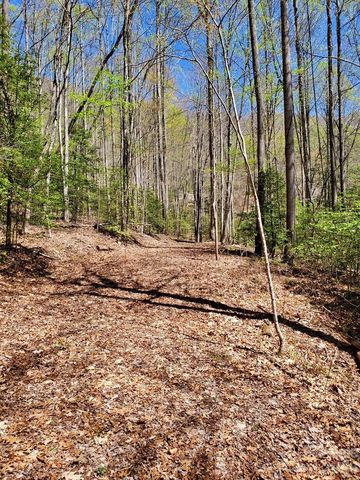 Lot 9 Hemlock Falls Drive 9, Sylva, NC 28779