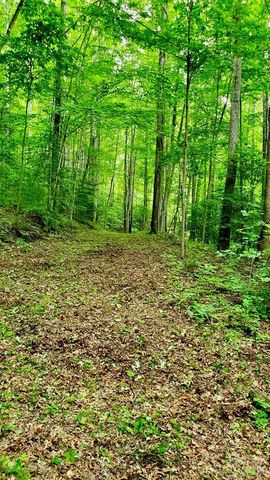 Lot 9 Hemlock Falls Drive 9, Sylva, NC 28779