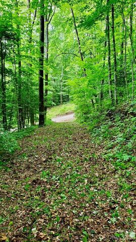Lot 9 Hemlock Falls Drive 9, Sylva, NC 28779