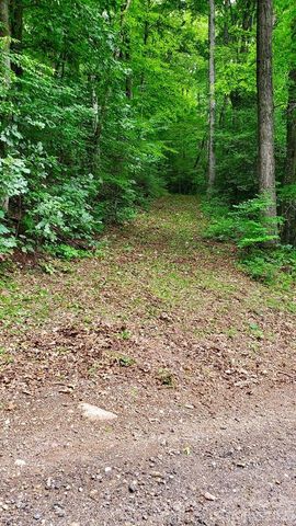 Lot 9 Hemlock Falls Drive 9, Sylva, NC 28779