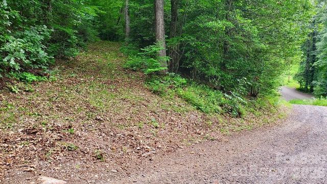 Lot 9 Hemlock Falls Drive 9, Sylva, NC 28779
