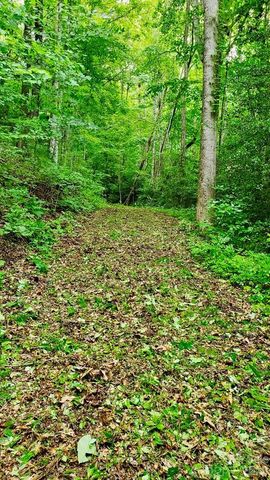 Lot 9 Hemlock Falls Drive 9, Sylva, NC 28779