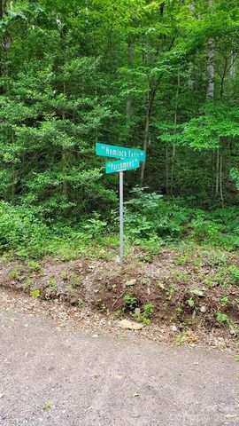 Lot 9 Hemlock Falls Drive 9, Sylva, NC 28779