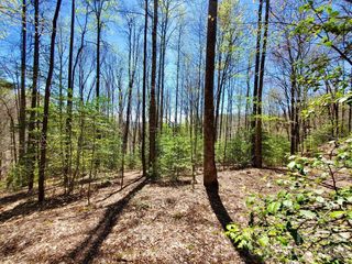 Lot 9 Hemlock Falls Drive 9, Sylva, NC 28779