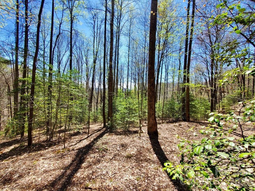 Lot 9 Hemlock Falls Drive 9, Sylva, NC 28779