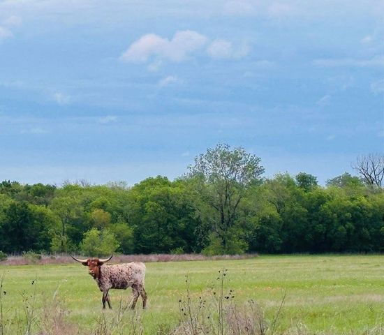 TBD CR 2068, Klondike, TX 75448