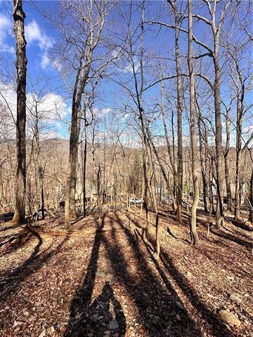 8041 Wilderness Parkway, Jasper, GA 30143