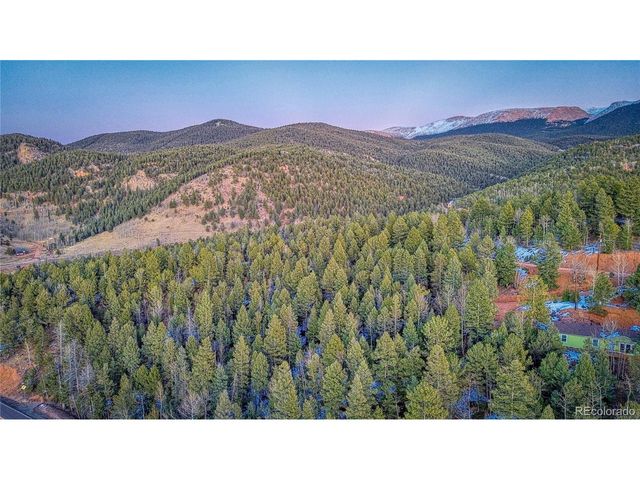 959 Calcite Dr, Divide, CO 80814