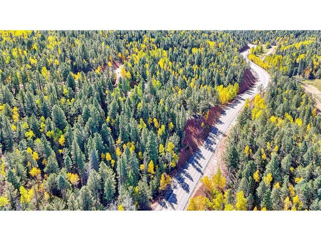 959 Calcite Dr, Divide, CO 80814