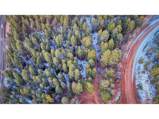 959 Calcite Dr, Divide, CO 80814