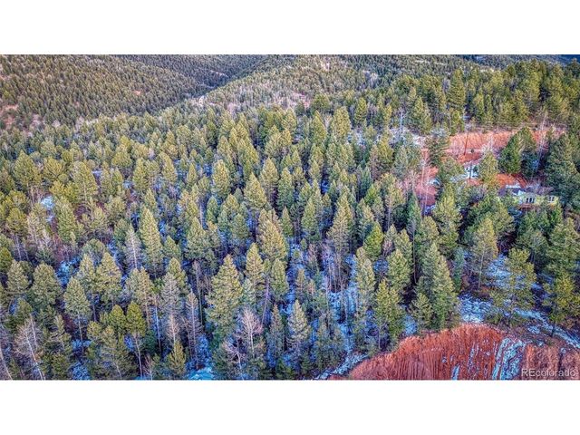 959 Calcite Dr, Divide, CO 80814