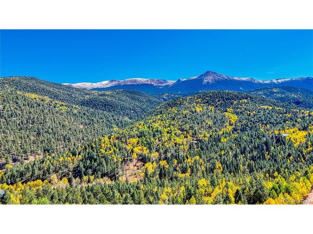 959 Calcite Dr, Divide, CO 80814