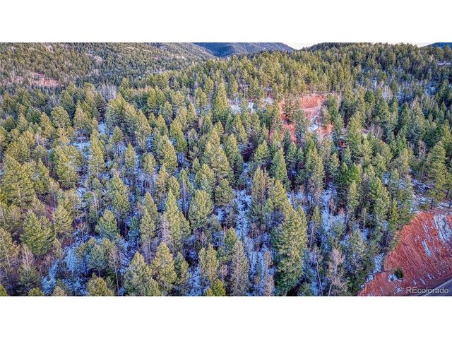 959 Calcite Dr, Divide, CO 80814