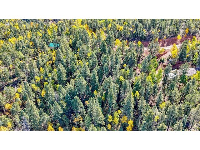 959 Calcite Dr, Divide, CO 80814