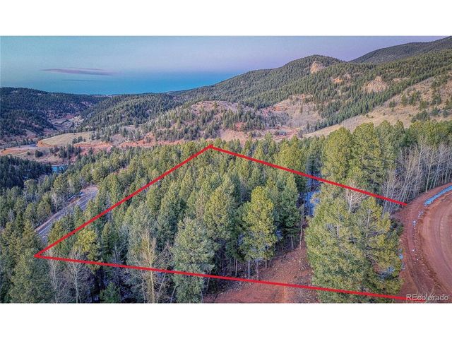 959 Calcite Dr, Divide, CO 80814