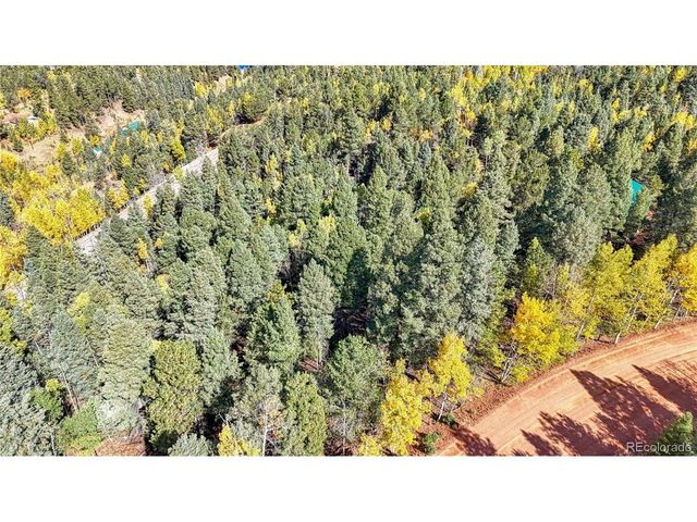 959 Calcite Dr, Divide, CO 80814