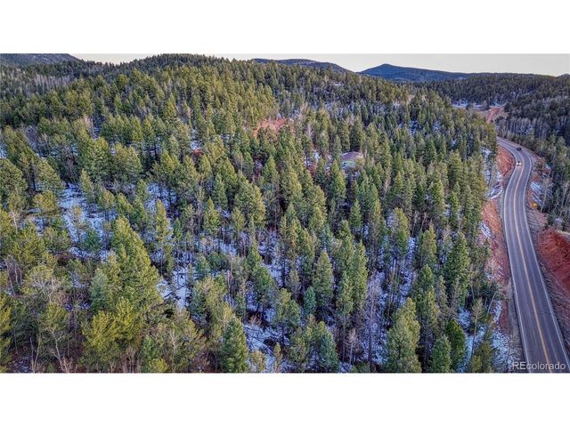 959 Calcite Dr, Divide, CO 80814