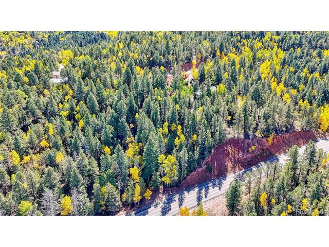 959 Calcite Dr, Divide, CO 80814