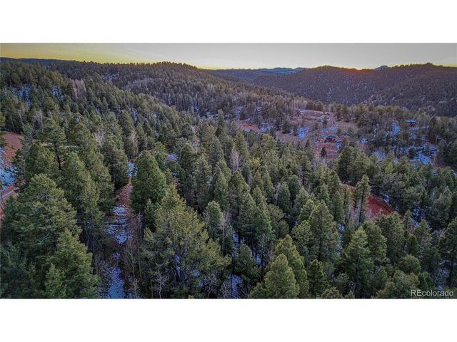 959 Calcite Dr, Divide, CO 80814