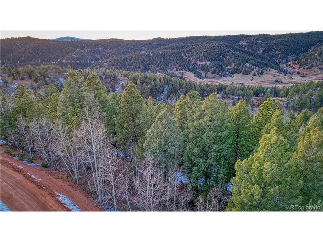 959 Calcite Dr, Divide, CO 80814