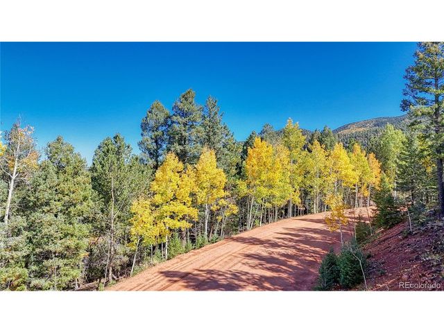 959 Calcite Dr, Divide, CO 80814