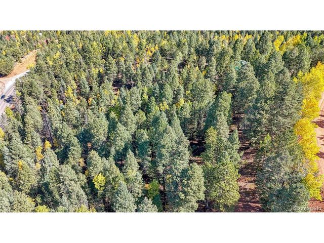 959 Calcite Dr, Divide, CO 80814