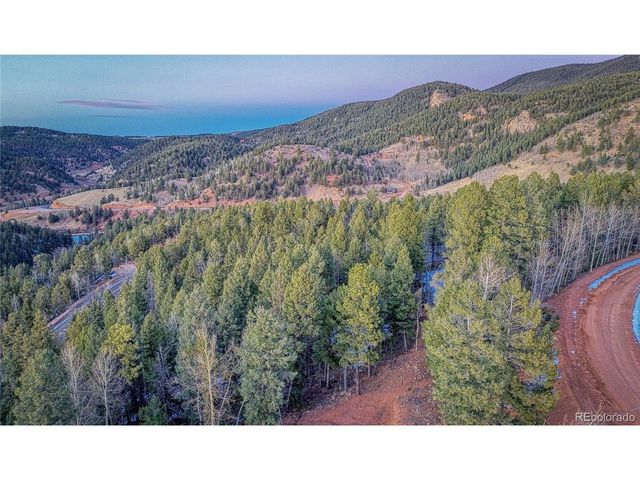 959 Calcite Dr, Divide, CO 80814