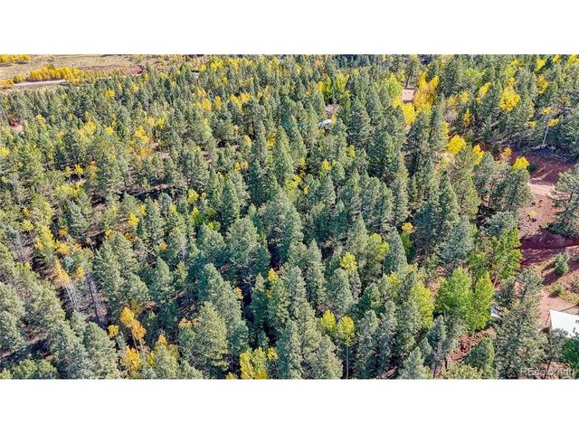 959 Calcite Dr, Divide, CO 80814