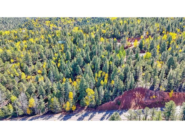 959 Calcite Dr, Divide, CO 80814