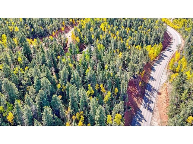 959 Calcite Dr, Divide, CO 80814