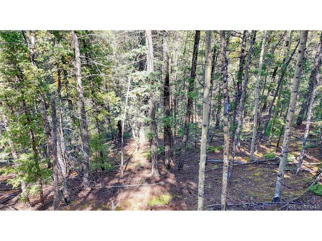 959 Calcite Dr, Divide, CO 80814
