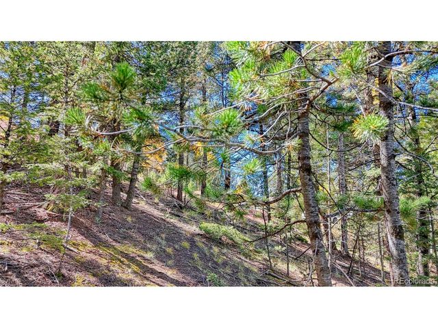 959 Calcite Dr, Divide, CO 80814
