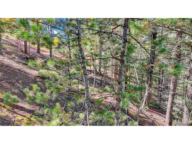 959 Calcite Dr, Divide, CO 80814