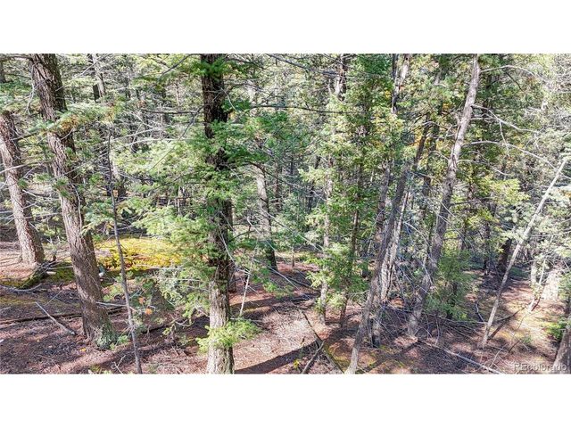 959 Calcite Dr, Divide, CO 80814