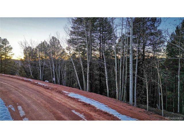 959 Calcite Dr, Divide, CO 80814