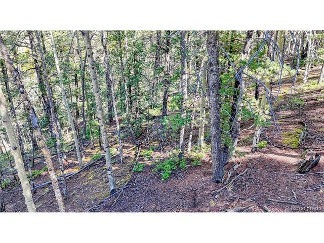 959 Calcite Dr, Divide, CO 80814