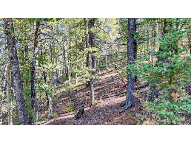 959 Calcite Dr, Divide, CO 80814