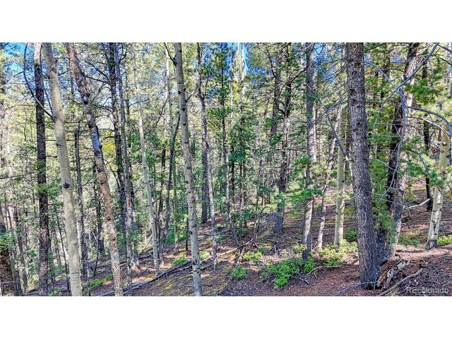959 Calcite Dr, Divide, CO 80814