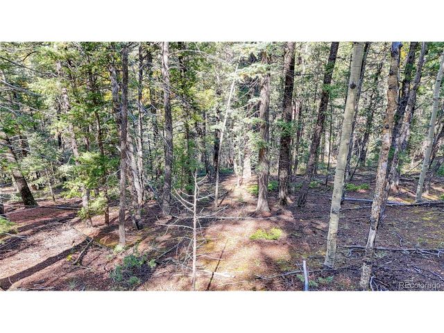 959 Calcite Dr, Divide, CO 80814