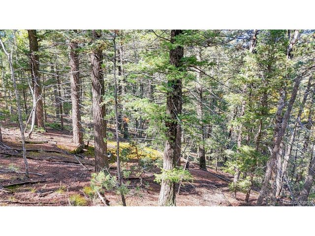 959 Calcite Dr, Divide, CO 80814