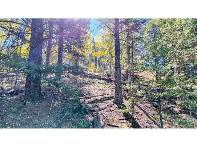 959 Calcite Dr, Divide, CO 80814
