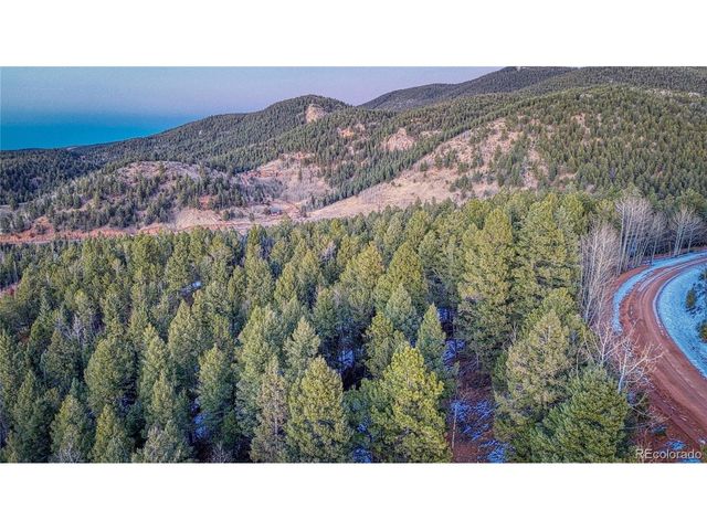 959 Calcite Dr, Divide, CO 80814