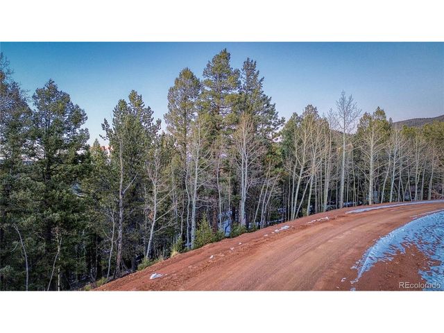 959 Calcite Dr, Divide, CO 80814