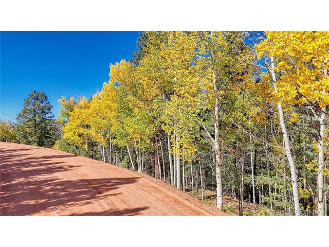 959 Calcite Dr, Divide, CO 80814
