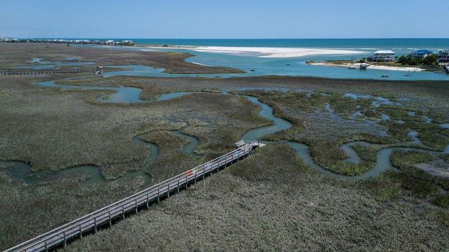 119 Berry Tree Dr., Pawleys Island, SC 29585